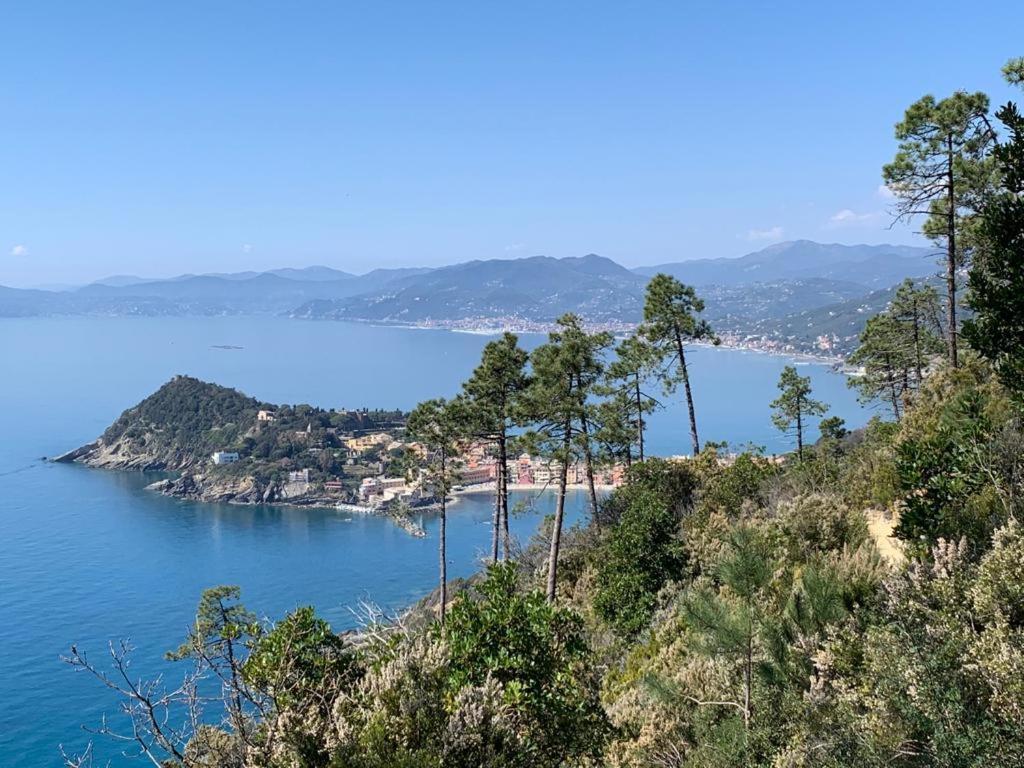 La Pergola Dei Paggi Villa Sestri Levante Dış mekan fotoğraf